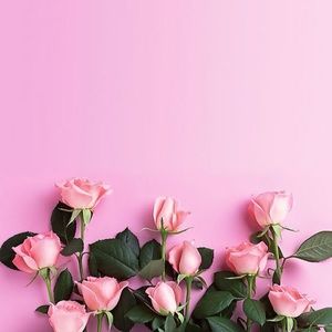 Meet your Posher, Bianca